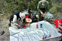 Friendly hikers  with strawberry pie and nectar.