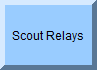 Boy Scout Relays